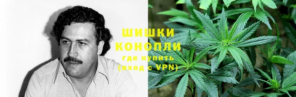 молекула духа Каменка