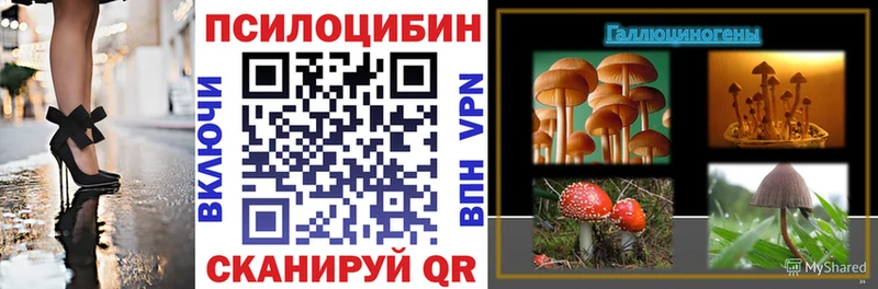 Галлюциногенные грибы прущие грибы  Купить  Стародуб 